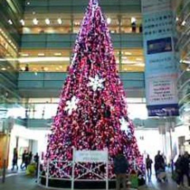 クリスマスカードを送ったよ