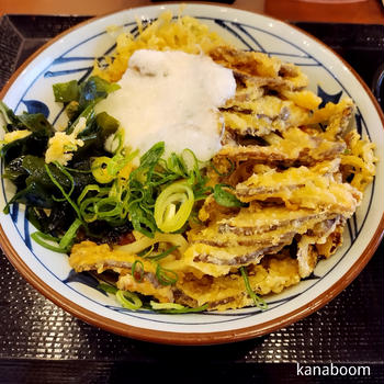休日ログ：無駄にした時間を満たす方法