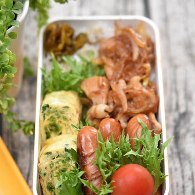 中学生男子弁当｜豚肉の甘辛炒めのっけ弁当｜あおさ入り卵焼き｜新しいお弁当箱
