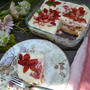 Strawberry Tiramisu 苺のティラミス