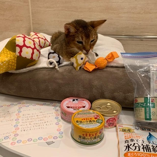 ちび子にお届けもの