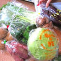 九州野菜直送　やお九州　九州野届きました。動画と写真付き