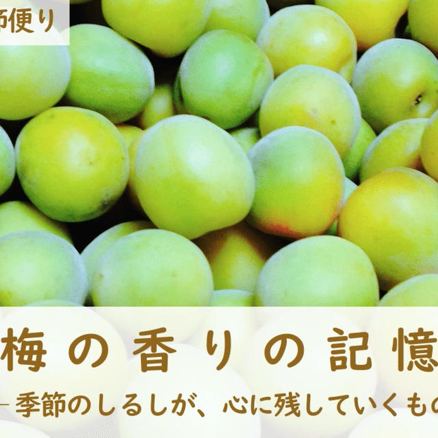 「梅の香りの記憶」──季節のしるしが、心に残していくもの