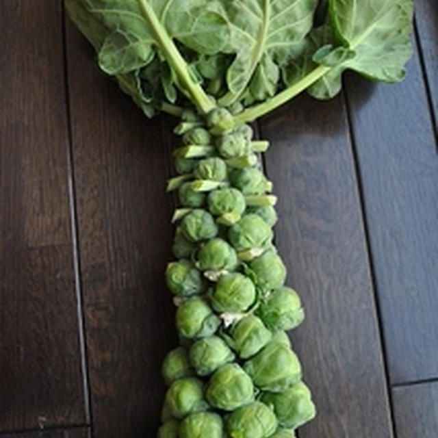 一株丸ごと!!芽キャベツ!!　　フリッター＾＾