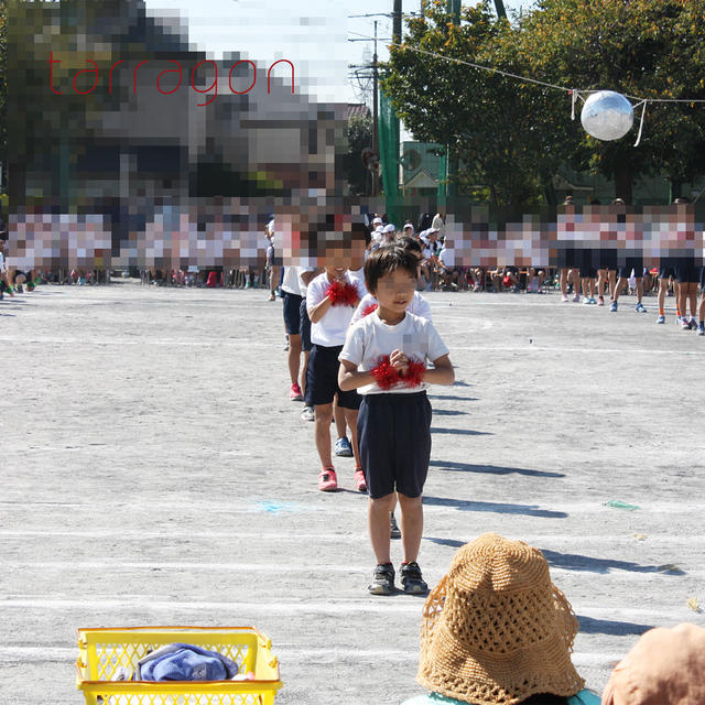 小学校最後の運動会、その4日前に捻挫したのび太な長男。応援団で花形に♪
