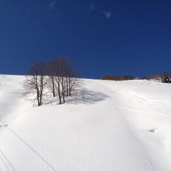 肌寒い＝雪山