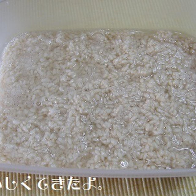 塩麹作ってみました