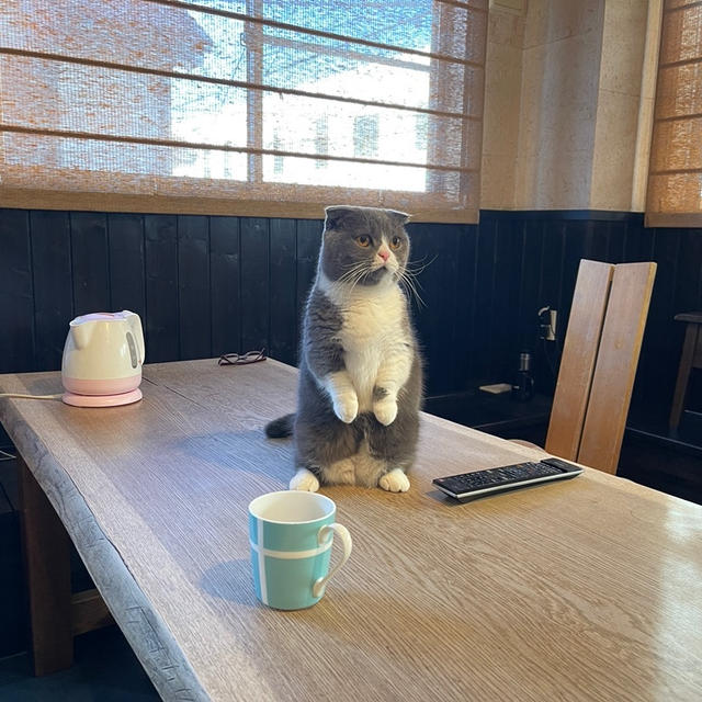 久々の対面