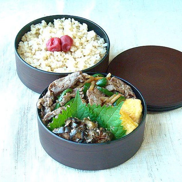 9/4(水)牛きんぴら弁当
