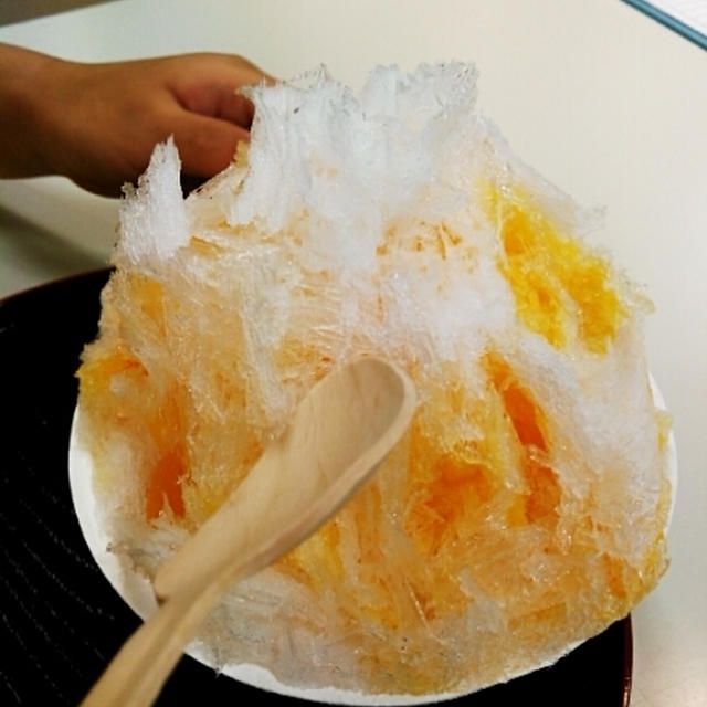 美味しいかき氷～ワカタク茶屋～玉川高島屋