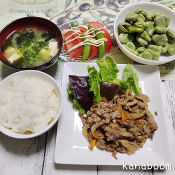 そら豆って実はコタツムリ🐌？
