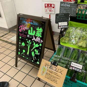 4月最終、盛岡駅では山菜を販売中！