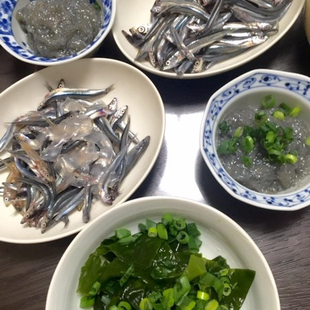 湘南生しらす漁　解禁♫