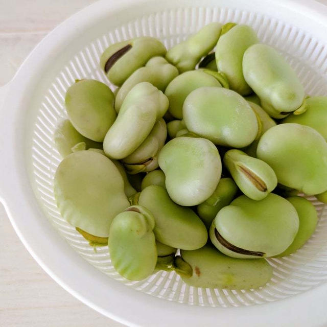 物価高騰中でも食費、抑えられています！