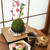 100均材料で簡単！『しだれ桜の苔玉作り』でお部屋に春が来ました♪