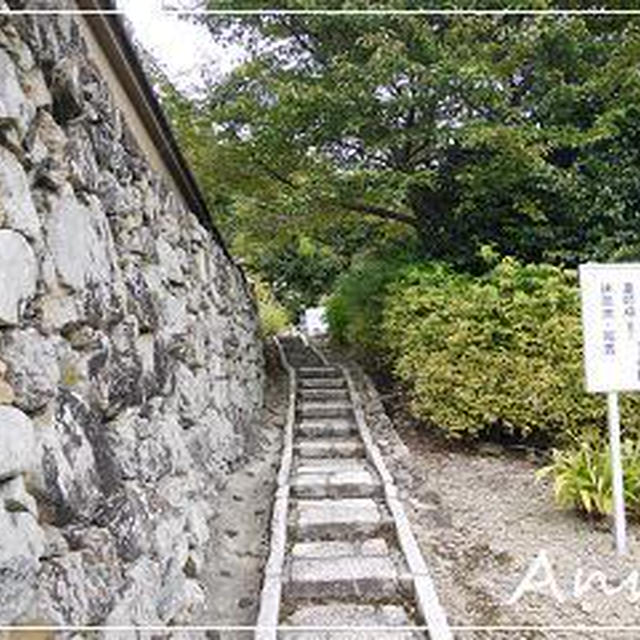 ☆2010 初秋の京都⑦：願徳寺～大原野神社☆