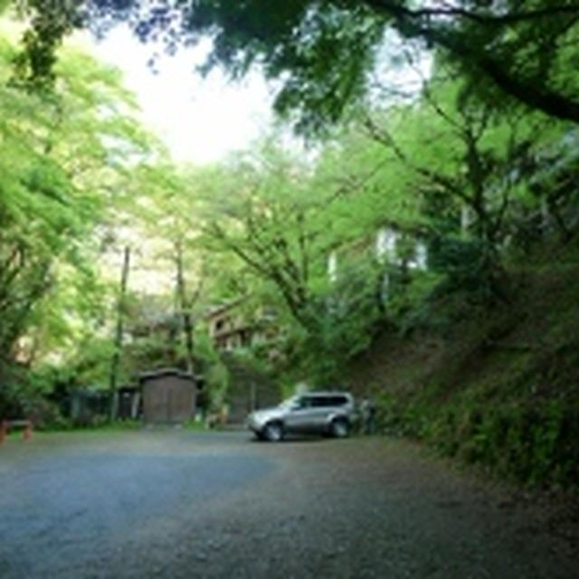 岩屋山志明院～もののけ姫の森