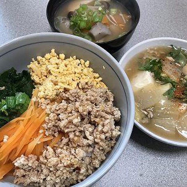 三色丼と豆腐の野菜餡かけ。雪の様子と雪だるま