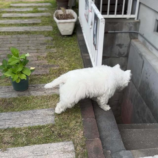 とーしゃんお帰り！