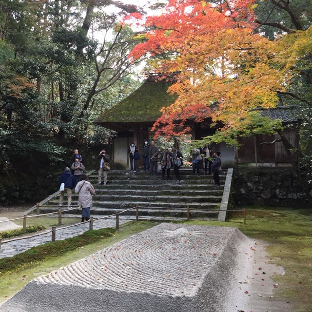 京都 紅葉散歩♪法然院・金戒光明寺塔頭など