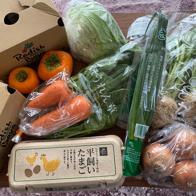 玄関まで届く便利さを知ってしまった…！寒い日の買い物もこれなら楽ちんと思ったこと
