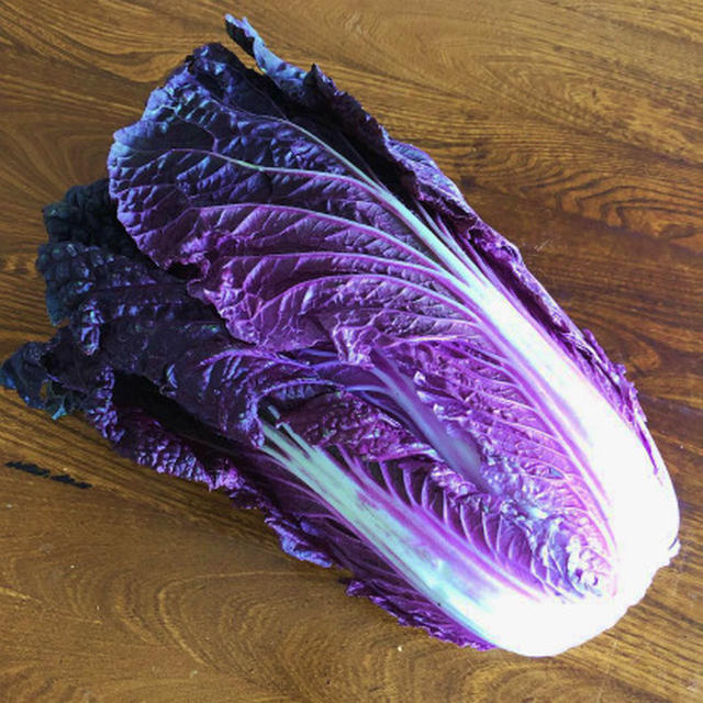紫の白菜事件