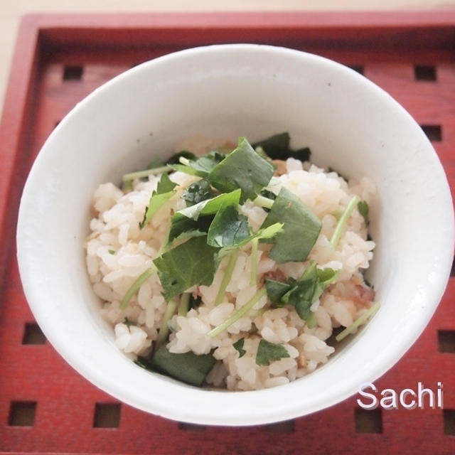 おおいたクッキングアンバサダー｜大分県産みつばでサンマご飯