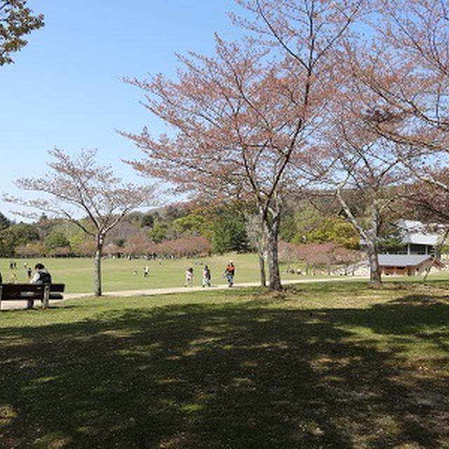 奈良公園へお散歩★【柿の葉寿司本舗たなか】筍づくし弁当