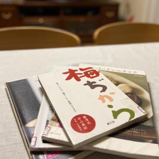 梅ぢから（藤清光 中山美鈴著）読了