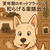 更年期ホットフラッシュを和らげる薬膳出汁とは