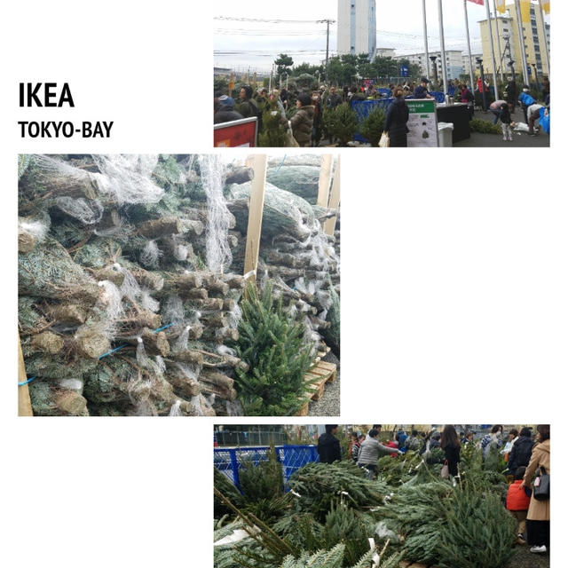 IKEA クリスマスツリー発売開始2018