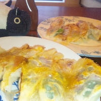 トマトとモッツアレラチーズの餃子