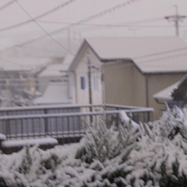 雪の日のたこ焼きと明太子焼き。それと「雪」という詩のこと。