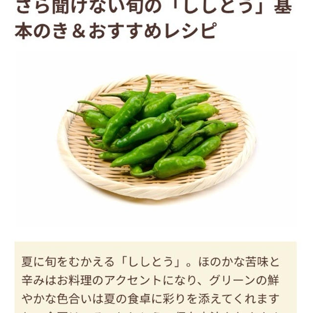 【ご報告】ししとうのカニカマのり巻きがフーディストノートに掲載❤︎感謝