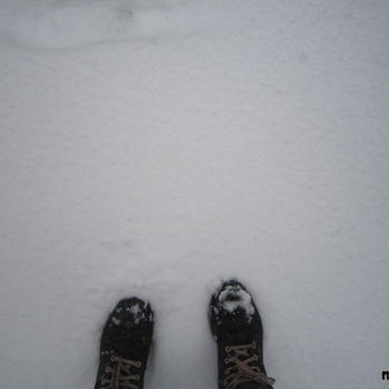 大雪でした。
