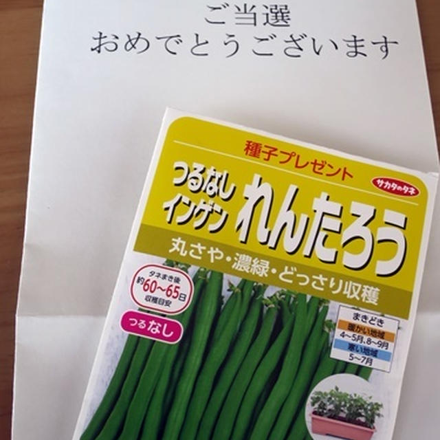 野菜の種をいただきました