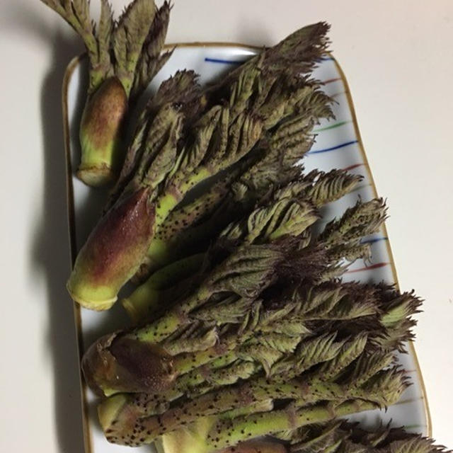 タラの芽と……ウレイと青菜