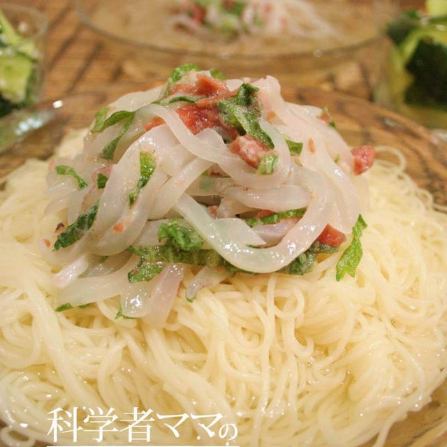 イカしそ梅そうめんで晩ごはん