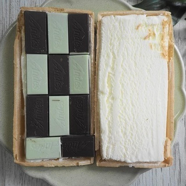 チョコミン党も歓喜！のtwitterで話題のチョコミントモナカ