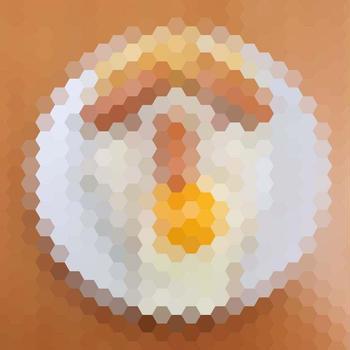 本日の顔メシ