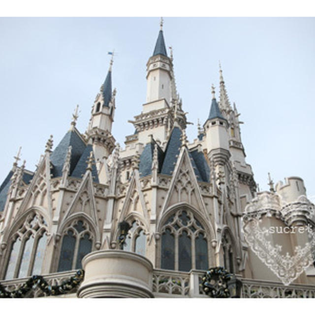 *　東京ディズニーランドへ。　*
