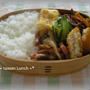 Taasan-Lunch　2011.06.16