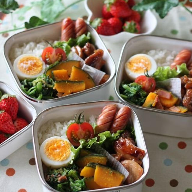 いちばん桜とメジロちゃん　☆　今日のbento＆昨日の晩ご飯♪
