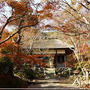 ☆2010 晩秋の京都④：常寂光寺☆
