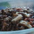 Salade de lentilles vertes レンズ豆のサラダ（ちょっとだけ別バージョン）