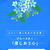 『真夏の花言葉診断』＆今月のネイル♪