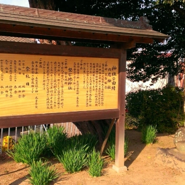 ＊日常スタート＊