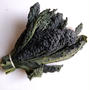 【イタリア野菜について学ぼう！】カーボロ・ネロ（黒キャベツ）特徴とそのレシピ