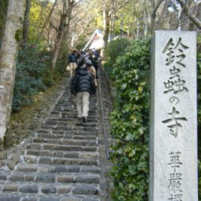 一つだけのお願いごと★鈴虫寺★
