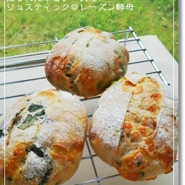 ほうれん草とチーズのリュスティック＠レーズン